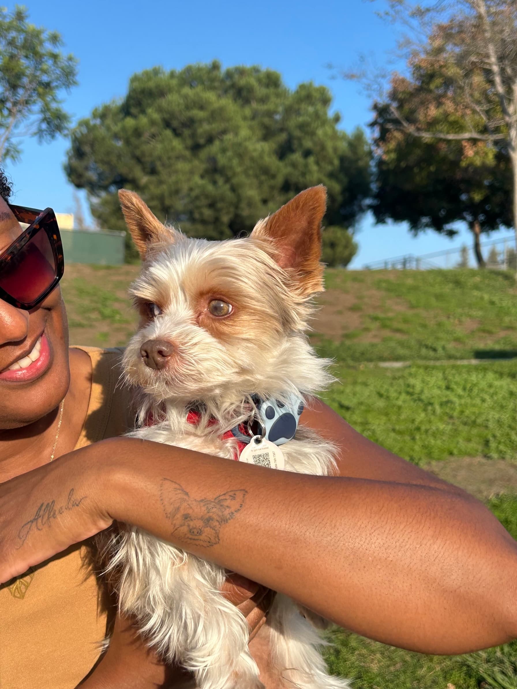 Original photo - Woman holding a small dog